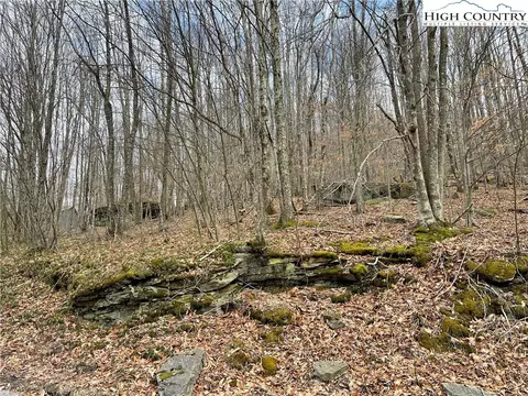 215 Wild Daisy Ln, Beech Mountain, NC 28604 photo 2