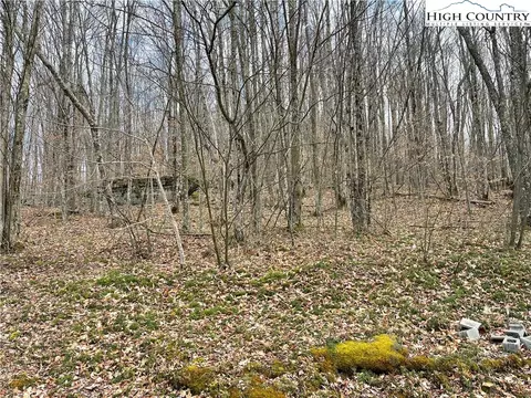 215 Wild Daisy Ln, Beech Mountain, NC 28604