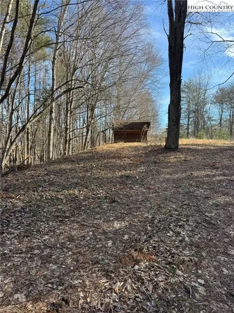 tbd Palmers Peak Rd, Vilas, NC 28692 photo 16