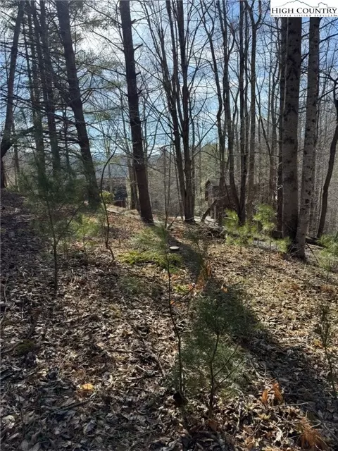 tbd Palmers Peak Rd, Vilas, NC 28692 photo 9