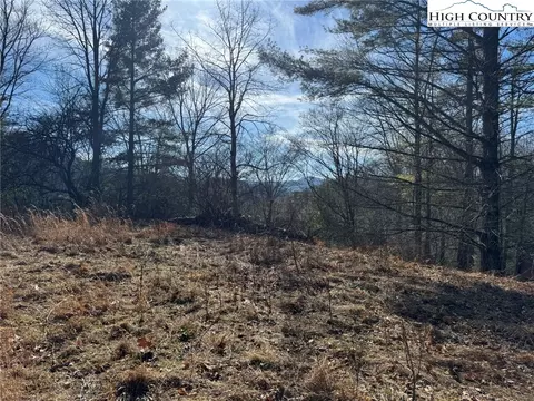 tbd Palmers Peak Rd, Vilas, NC 28692 photo 2