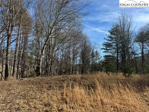 tbd Palmers Peak Rd, Vilas, NC 28692 photo 5