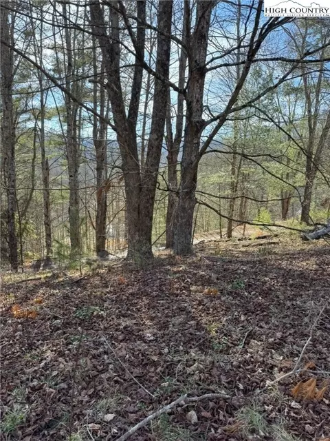 tbd Palmers Peak Rd, Vilas, NC 28692 photo 7