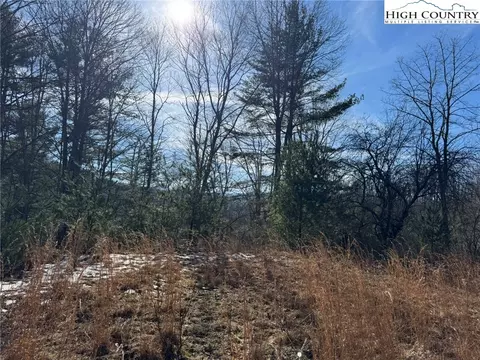 tbd Palmers Peak Rd, Vilas, NC 28692 photo 4