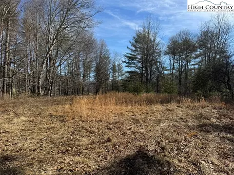 tbd Palmers Peak Rd, Vilas, NC 28692 photo 10