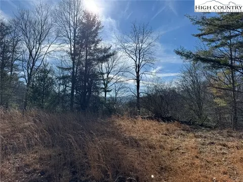 tbd Palmers Peak Rd, Vilas, NC 28692 photo 3