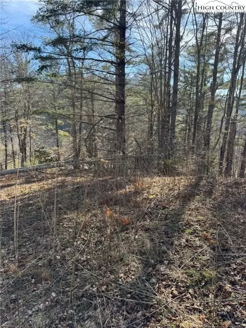 tbd Palmers Peak Rd, Vilas, NC 28692 photo 14
