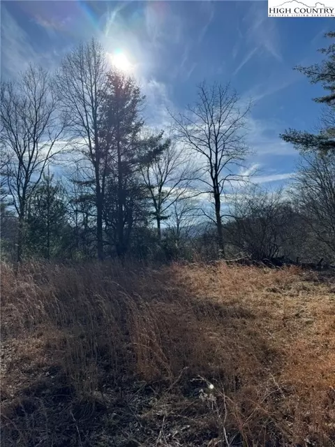 tbd Palmers Peak Rd, Vilas, NC 28692 photo 8