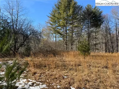 tbd Palmers Peak Rd, Vilas, NC 28692 photo 15