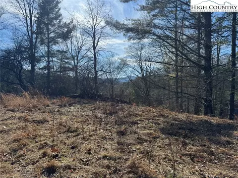 tbd Palmers Peak Rd, Vilas, NC 28692 photo 13