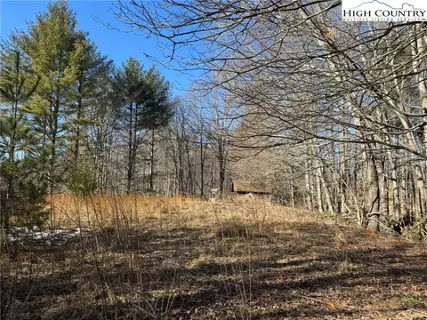 tbd Palmers Peak Rd, Vilas, NC 28692 photo 6