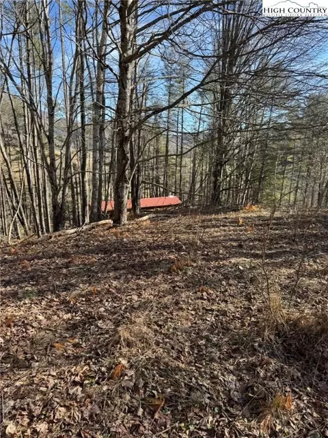 tbd Palmers Peak Rd, Vilas, NC 28692 photo 11