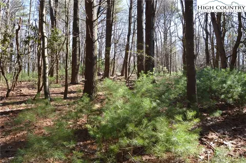 tbd Pine Grove Cir, Sparta, NC 28675