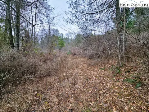tbd Phipps Rd, Sparta, NC 28675 photo 14