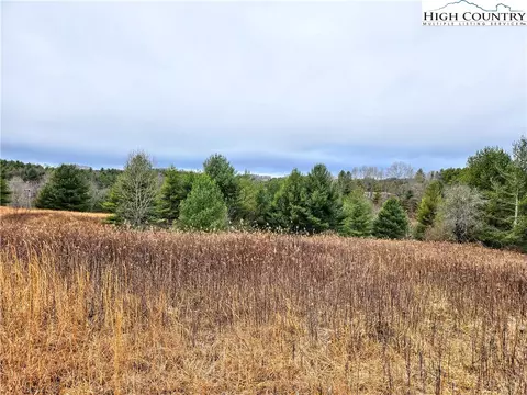 tbd Phipps Rd, Sparta, NC 28675 photo 6
