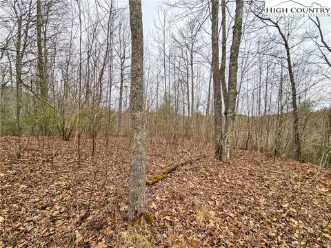 tbd Phipps Rd, Sparta, NC 28675 photo 18