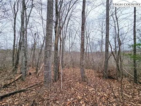 tbd Phipps Rd, Sparta, NC 28675 photo 17