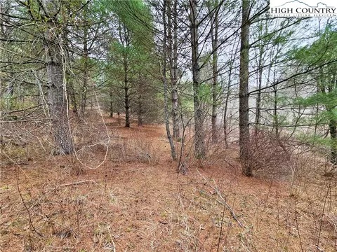 tbd Phipps Rd, Sparta, NC 28675 photo 10