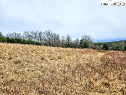 tbd Phipps Rd, Sparta, NC 28675 photo 5