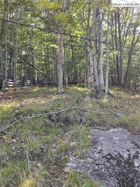 115 Locust Ridge Rd, Beech Mountain, NC 28604 photo 3