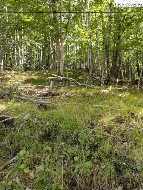 115 Locust Ridge Rd, Beech Mountain, NC 28604 photo 2