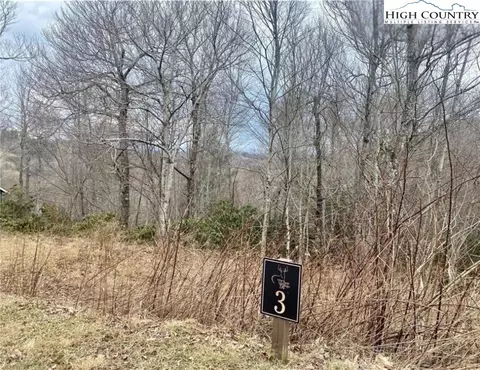 tbd Wapiti Way, Blowing Rock, NC 28605