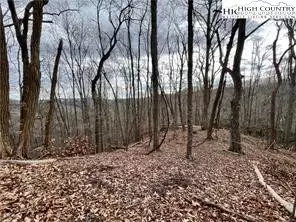 997 Isaacs Branch Rd, Sugar Grove, NC 28679