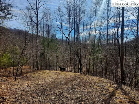 8 Arborway Drive, Todd, NC 28684 photo 15