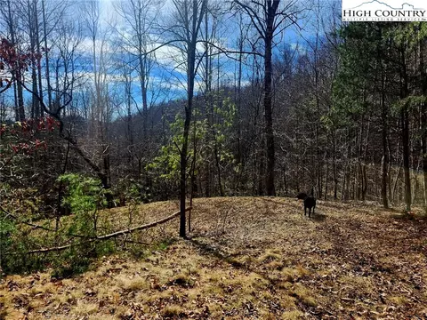 8 Arborway Drive, Todd, NC 28684 photo 14