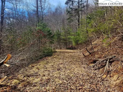 8 Arborway Drive, Todd, NC 28684 photo 13