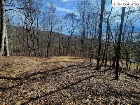 8 Arborway Drive, Todd, NC 28684 photo 17