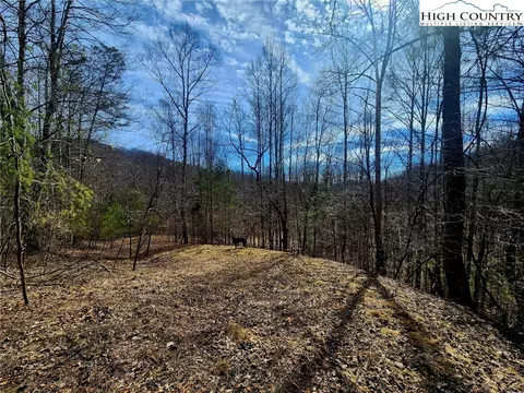 8 Arborway Drive, Todd, NC 28684 photo 16