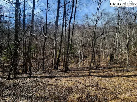 8 Arborway Drive, Todd, NC 28684 photo 24