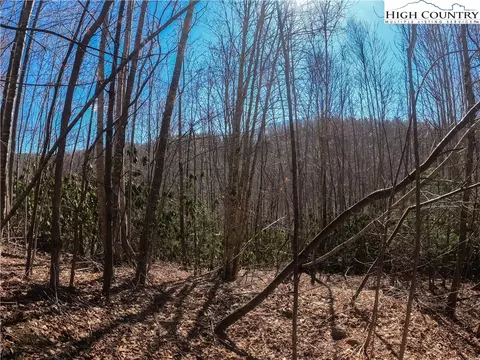 lot99 Beaver Dam Rd, Elk Park, NC 28622