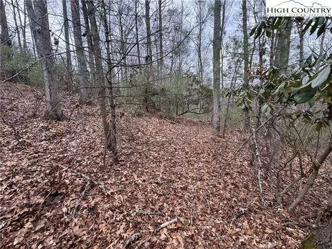 tbd Long Leaf Dr, West Jefferson, NC 28640