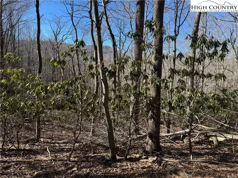 tbd Grace Mountain Rd, Todd, NC 28684