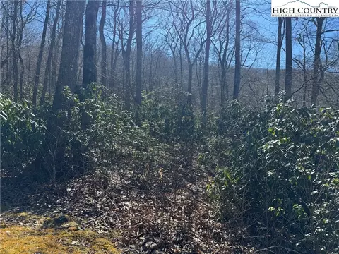 tbd Grace Mountain Rd, Todd, NC 28684 photo 11
