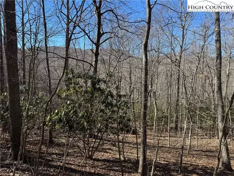 tbd Grace Mountain Rd, Todd, NC 28684 photo 9