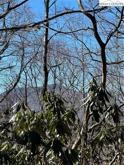 lot306 Misty Ridge Ln, Blowing Rock, NC 28605