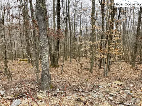 222 Wild Daisy Ln, Beech Mountain, NC 28604