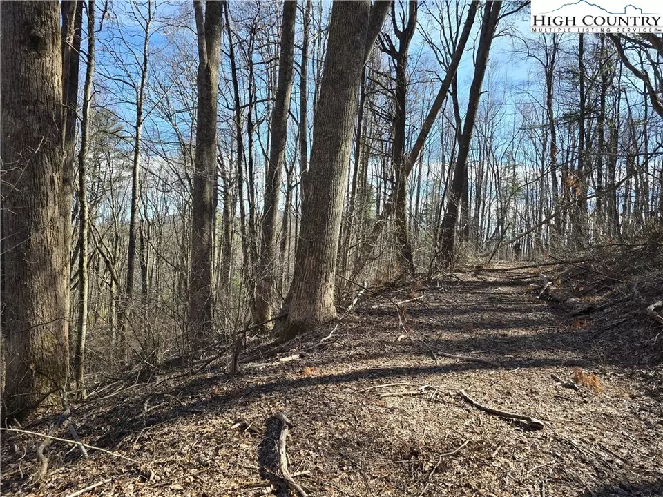  tbd Parkway Estates Rd, Laurel Springs, NC 28644 photo 3