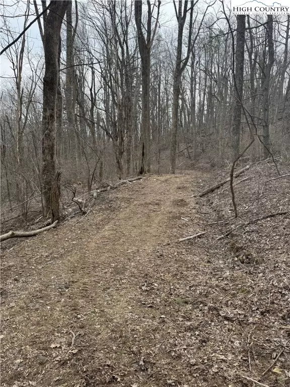  tbd Parkway Estates Rd, Laurel Springs, NC 28644 photo 6