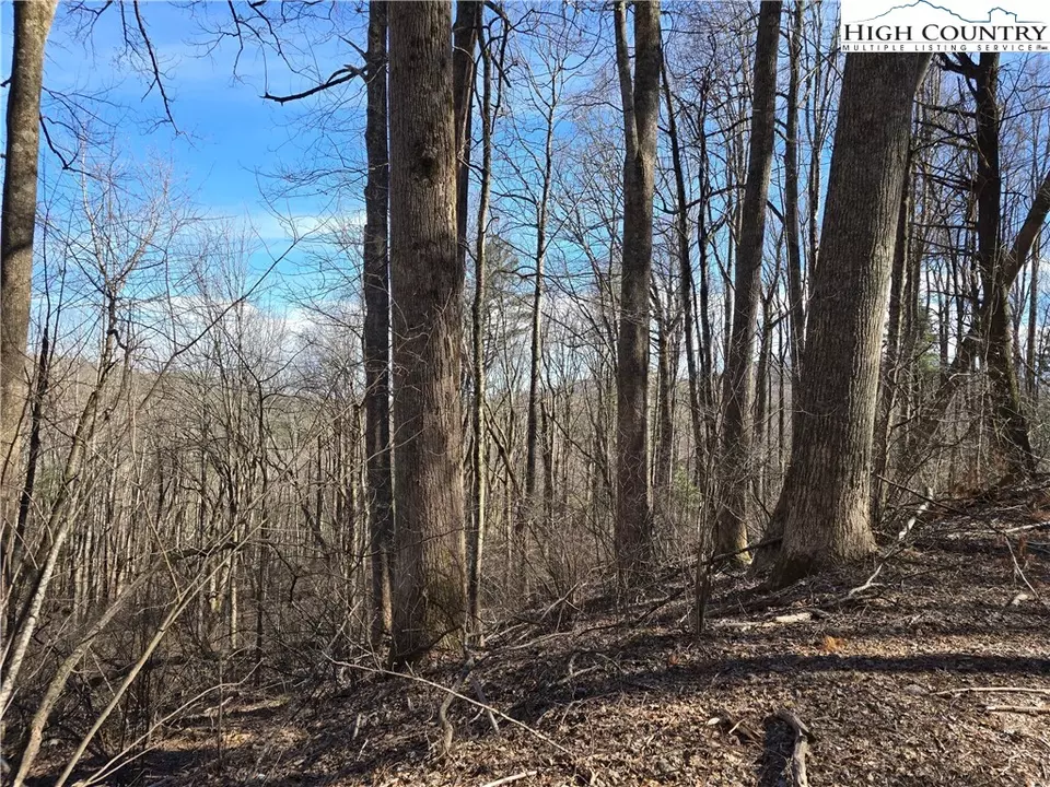 tbd Parkway Estates Rd, Laurel Springs, NC 28644 photo 2