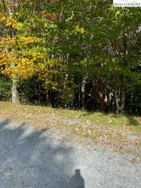 112 Windridge Rd, Beech Mountain, NC 28604 photo 1