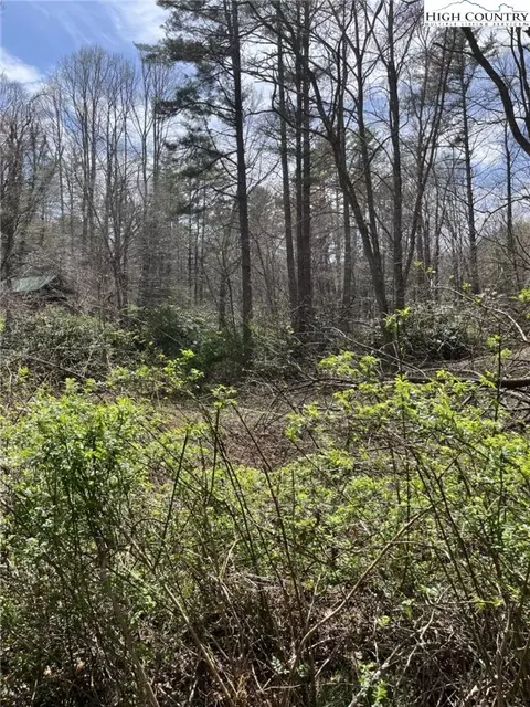 lot103 B2 Seneca, Boone, NC 28607 photo 11