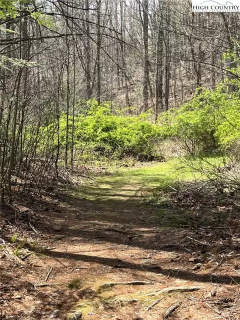 lot103 B2 Seneca, Boone, NC 28607 photo 10
