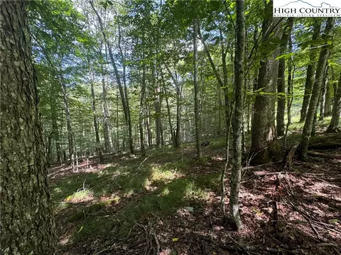217 Sawmill Branch Rd, Beech Mountain, NC 28604