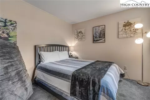 101 Hornbeam Rd #5D, Beech Mountain, NC 28604 photo 15