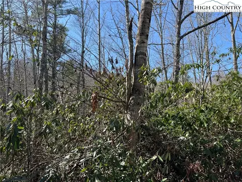 134 Goldfinch Rd, Newland, NC 28657