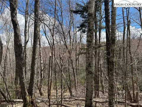 120 E Blueberry Ln, Beech Mountain, NC 28604